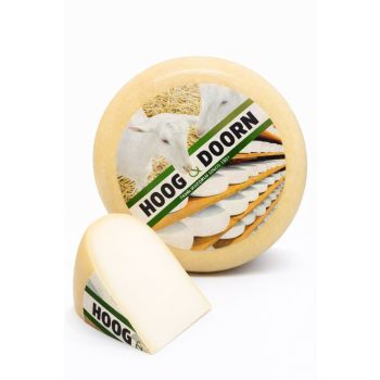 Dutch young goat cheese