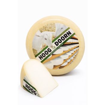 Dutch young goat's cheese | Cheese wheel