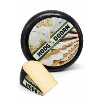 Dutch old goat&#039;s cheese | Cheese wheel