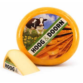 Goudse kaas jong
