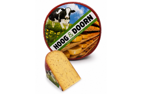 Magere belegen komijnekaas. Hele kaas.
