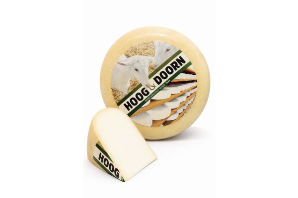 Dutch mature goat's cheese | Cheese wheel