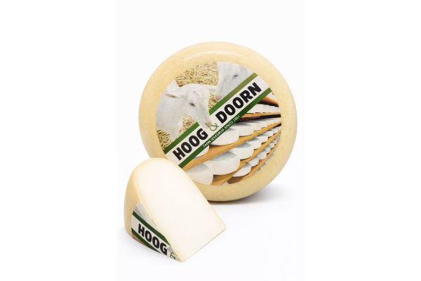 Dutch young goat's cheese | Cheese wheel