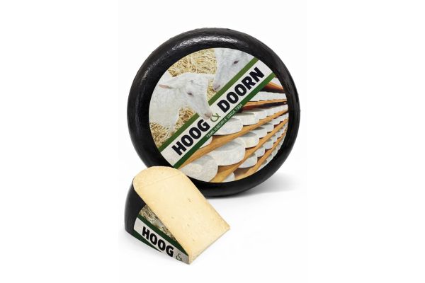 Dutch old goat&#039;s cheese | Cheese wheel