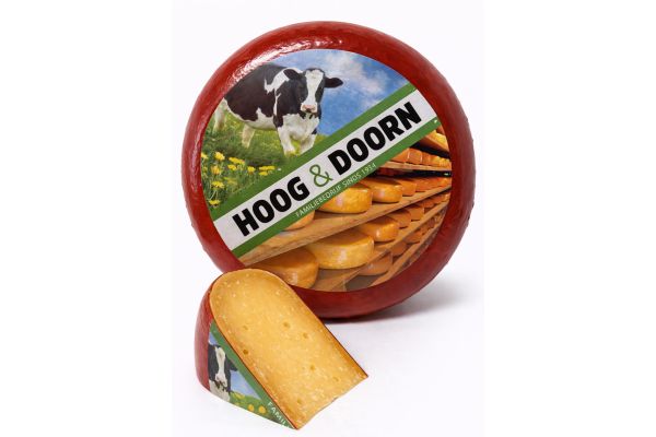 Extra overaged North Holland | Cheese wheel