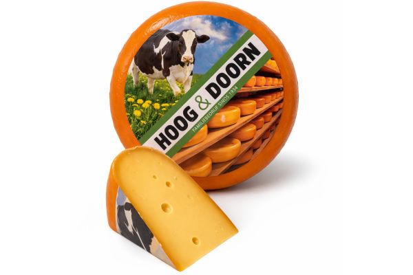 Tangy North Holland cheese