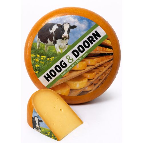 Old North Holland cheese