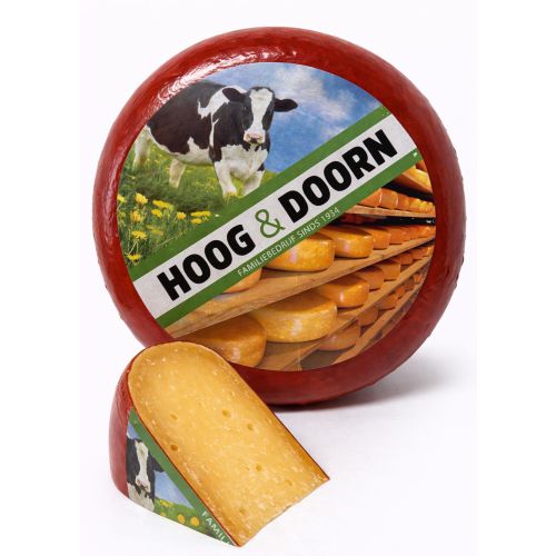 Extra overaged North Holland | Cheese wheel