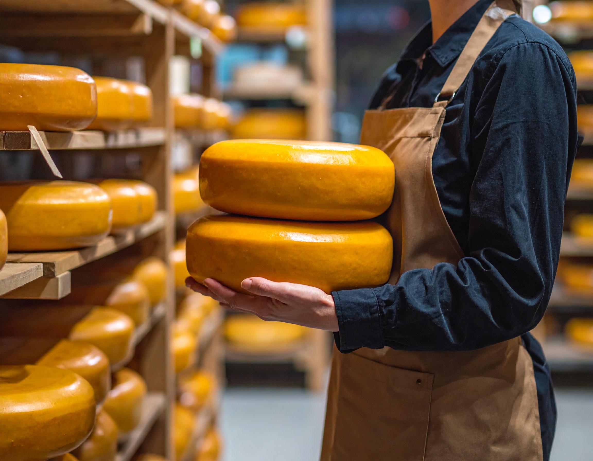 Gouda cheese: Dutch pride in every bite